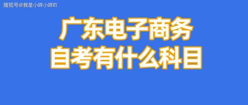 自考电子商务专业