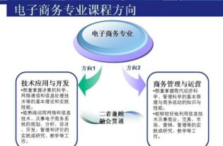 电子商务专业分类方向