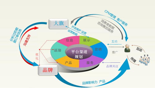 怎么加分电子商务专业