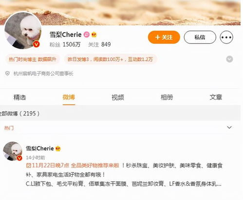 网络主播王子柏偷税漏税案曝光，罚款高达1330万