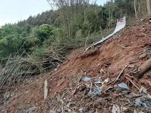 韩空难发布会现场，哭声与怒吼交织，家属情绪失控