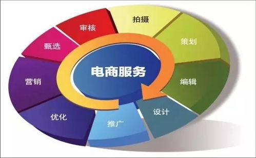 电子商务合适的专业