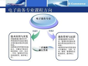 电子商务专业学科层次