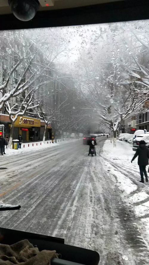 河南暴雪被困12小时车主发声，雪中求生，等待救援